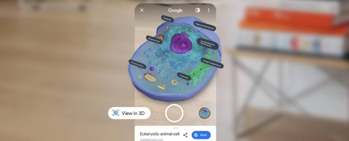 Bring The Wonders Of Science Into Your Home With Google 3D 4