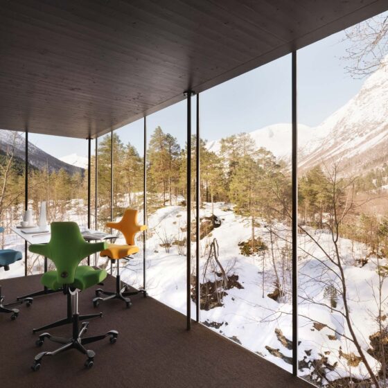 capisco Chair by HAG