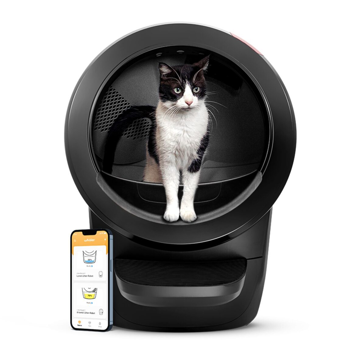 Litter Robot 4: The Ultimate Self-Cleaning Litter Box Cat Owners Love 1 Litter RObot 4