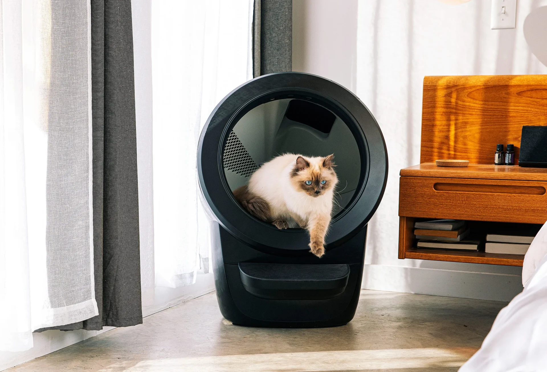 Litter Robot 4