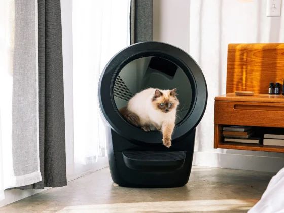 Litter Robot 4