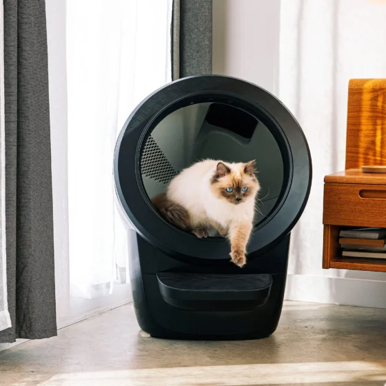 Litter Robot 4