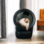 Litter Robot 4